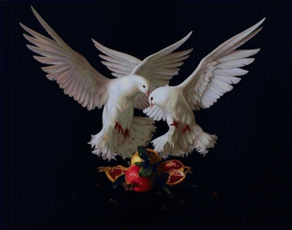 пара голубей