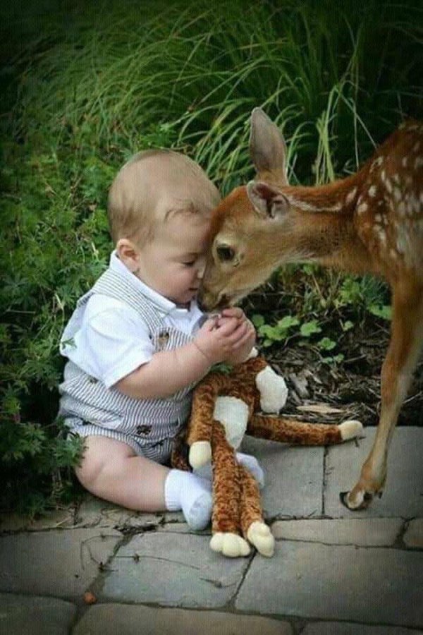 олененок маленький