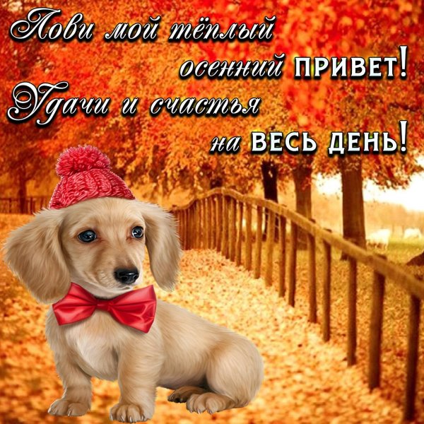 осеннее пожелание