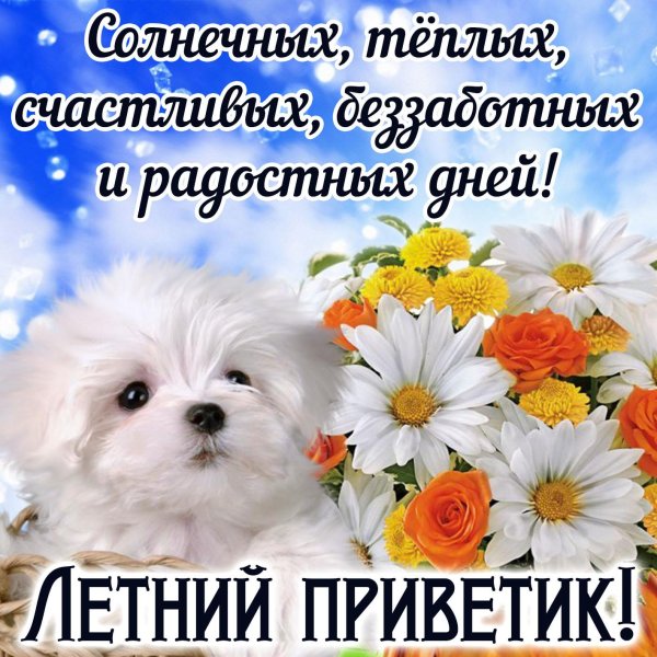 летний приветик
