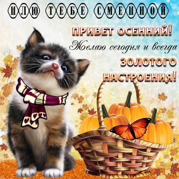 осеннее пожелание