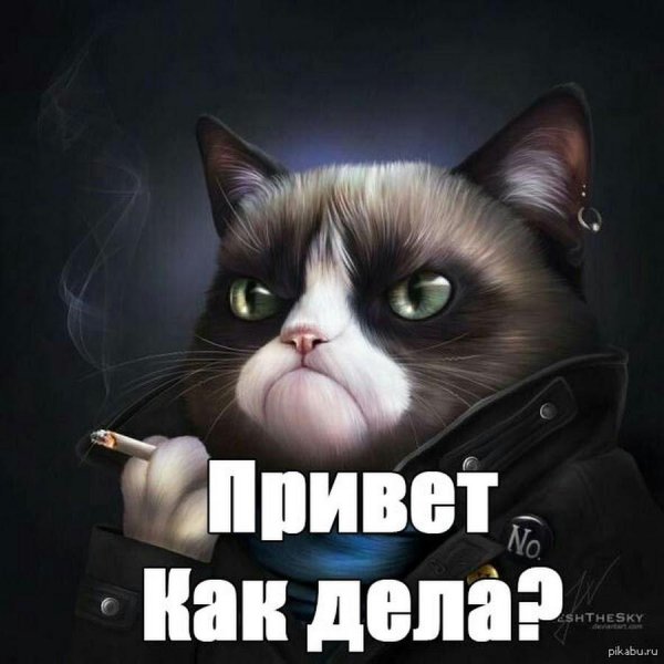 привет прикол