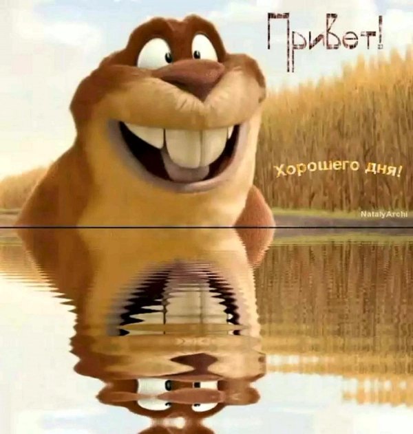 суслик обломался мультфильм 2004