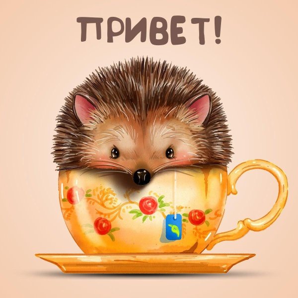 ежик доброе утро