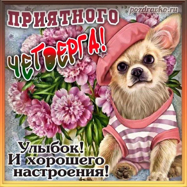 поздравление с хорошим настроением