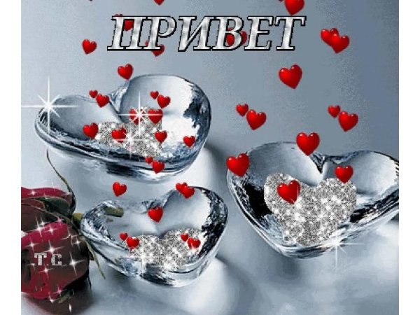 анимированная гифка