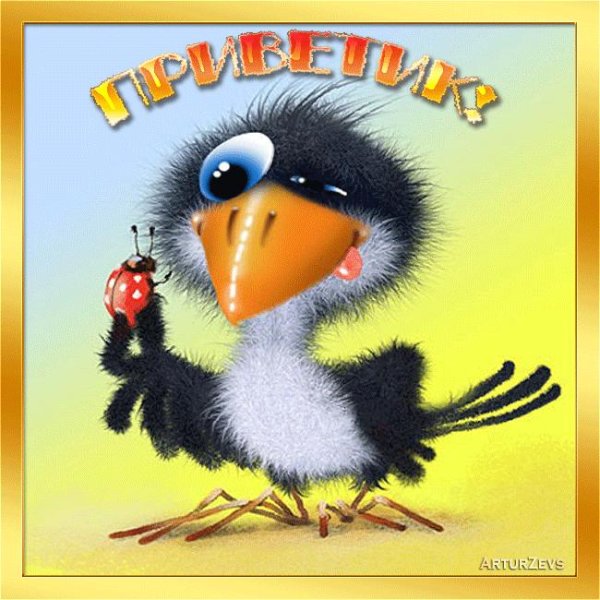 птица смешная