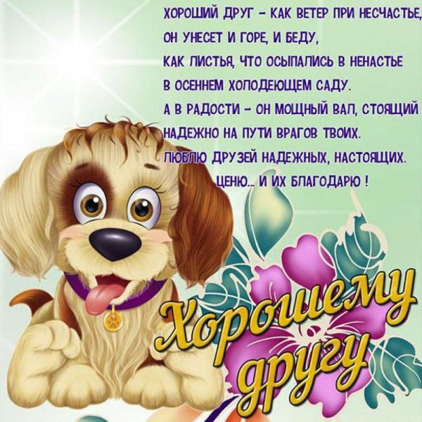 пожелание другу