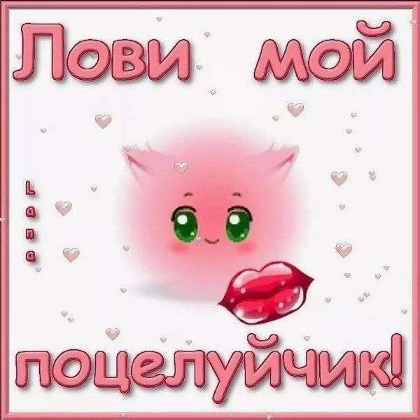 поцелуй открытка