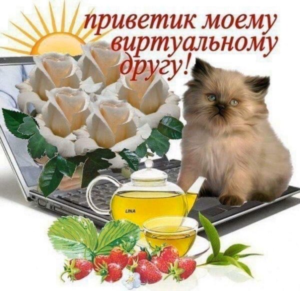 виртуальные друзья