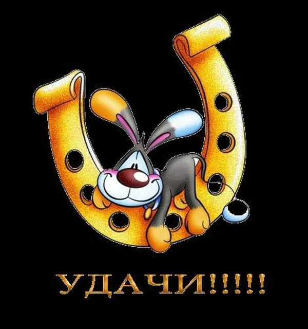 желаем удачи