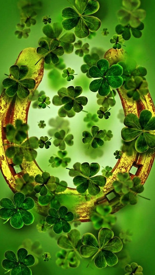 клевер четырехлистник