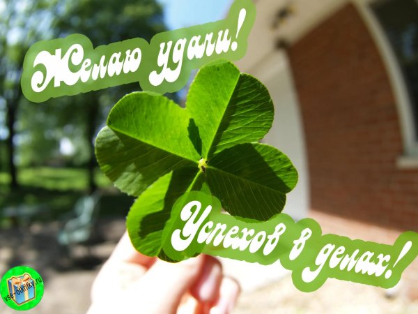 открытка удачи