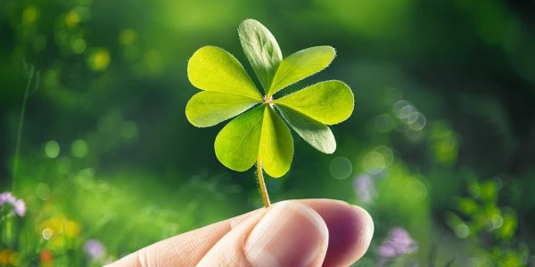 клевер good luck