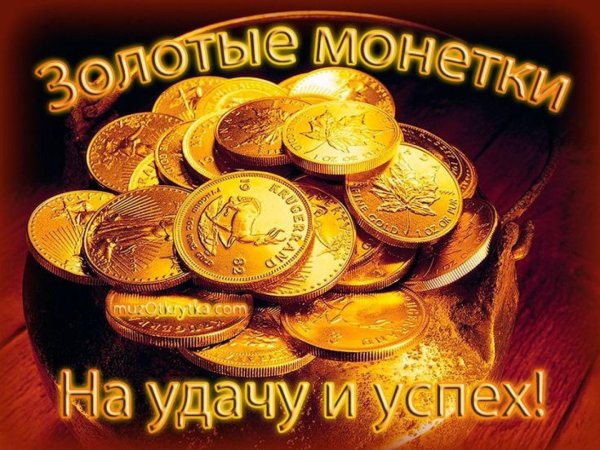 много золотых монет