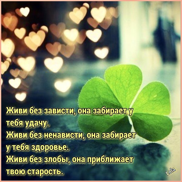 красивая удача