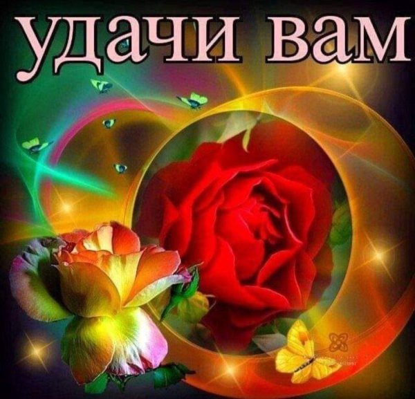 удачи вам
