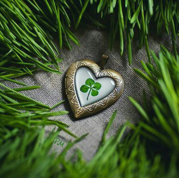 четырёхлистный клевер талисман