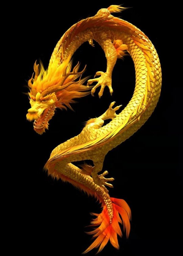 сюаньлун дракон