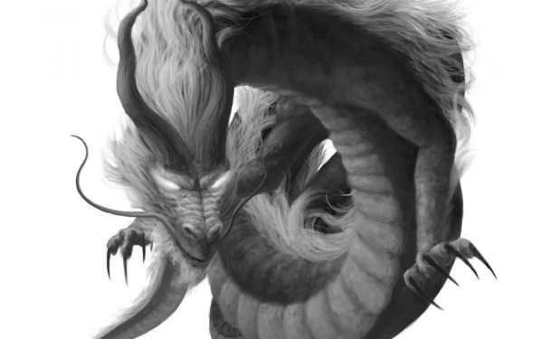 белые драконы