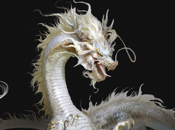 белые драконы