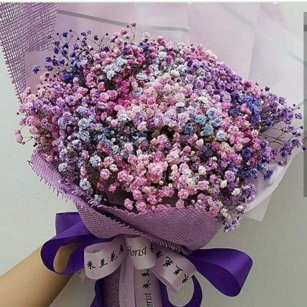 гипсофила монобукет