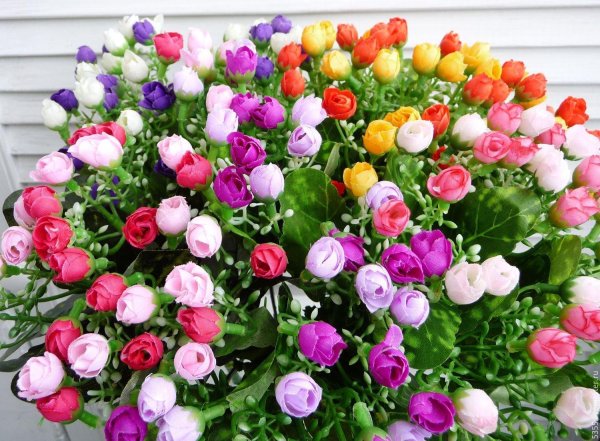 розы мелкие кустовые