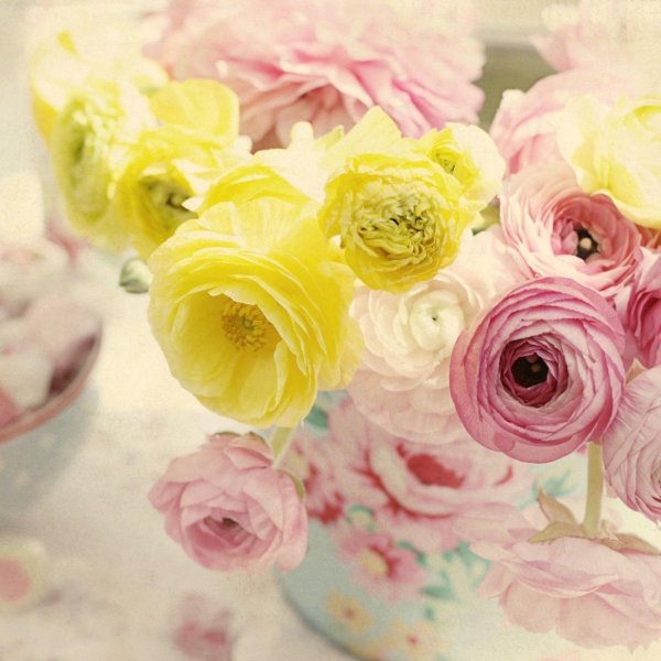 ранункулюс томер микс