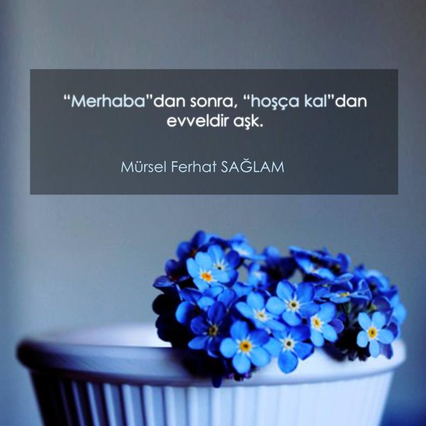 букет незабудки