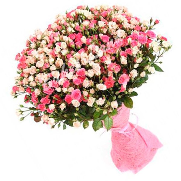 кустовая роза