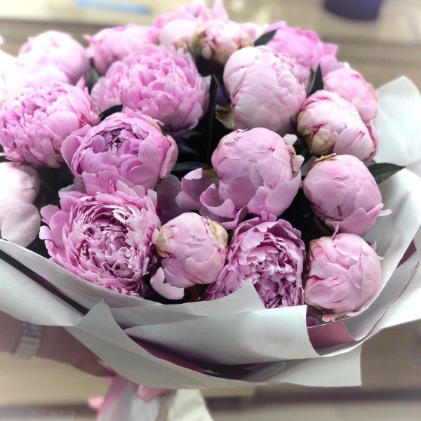 пионы зефирки