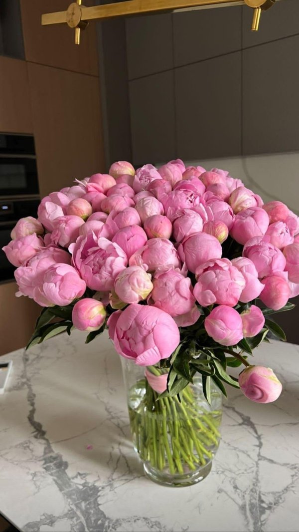 красивые букеты пионов