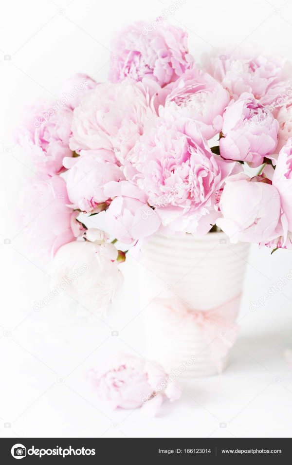 фон с пионами