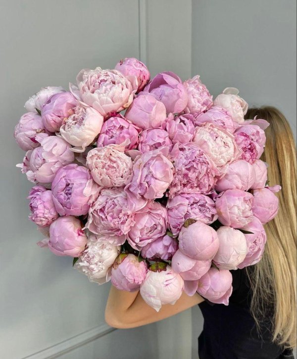 пион сара бернар