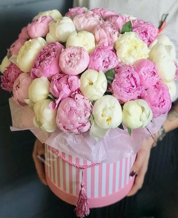 коробка с пионами