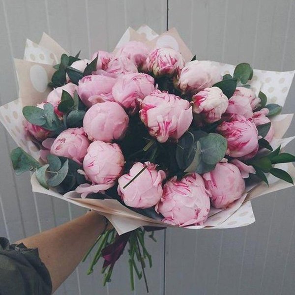 пионы букет красивый