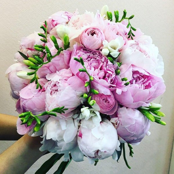 пионовый букет