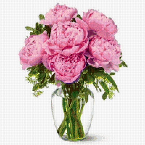 ваза с пионами