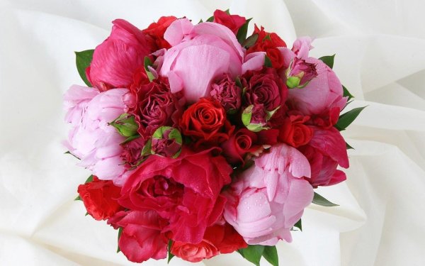 букетище пионов