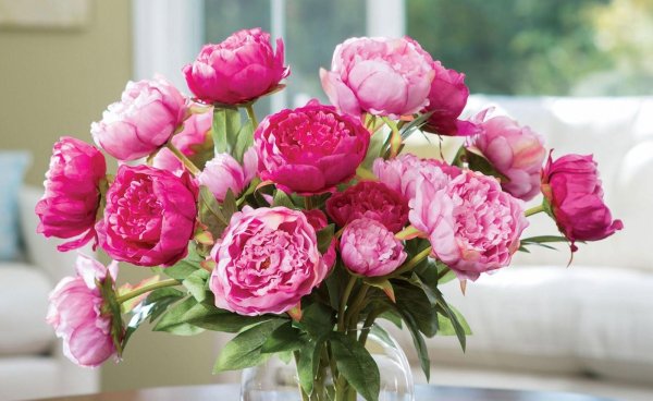 розовидные пионы