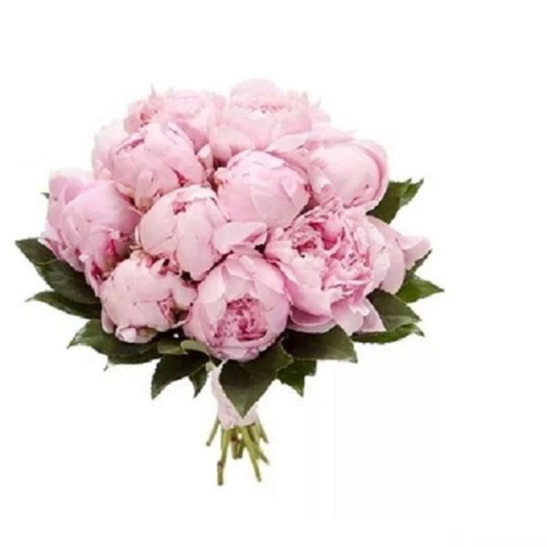 букет с пионами сара