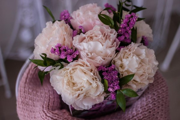 розоподобные пионы