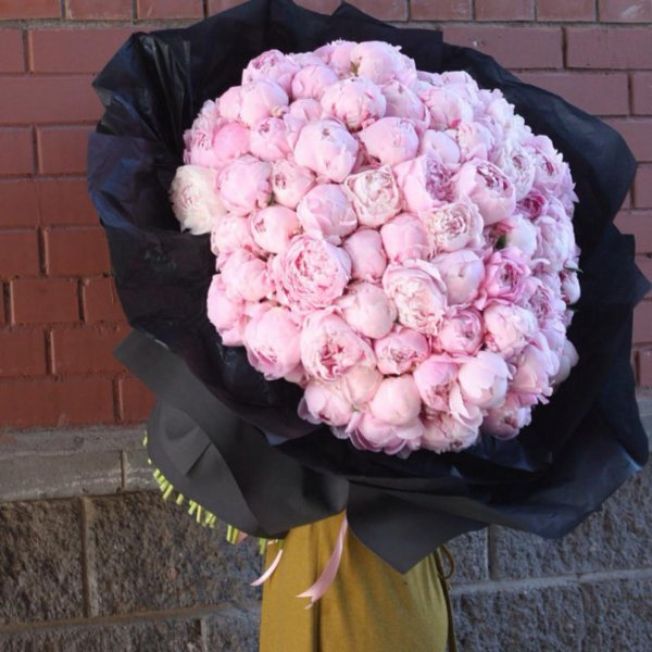 51 пион сара бернар