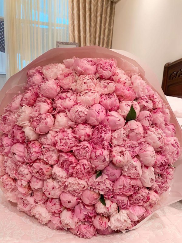 101 пион сара бернар