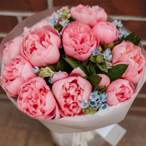 красивые букеты пионов