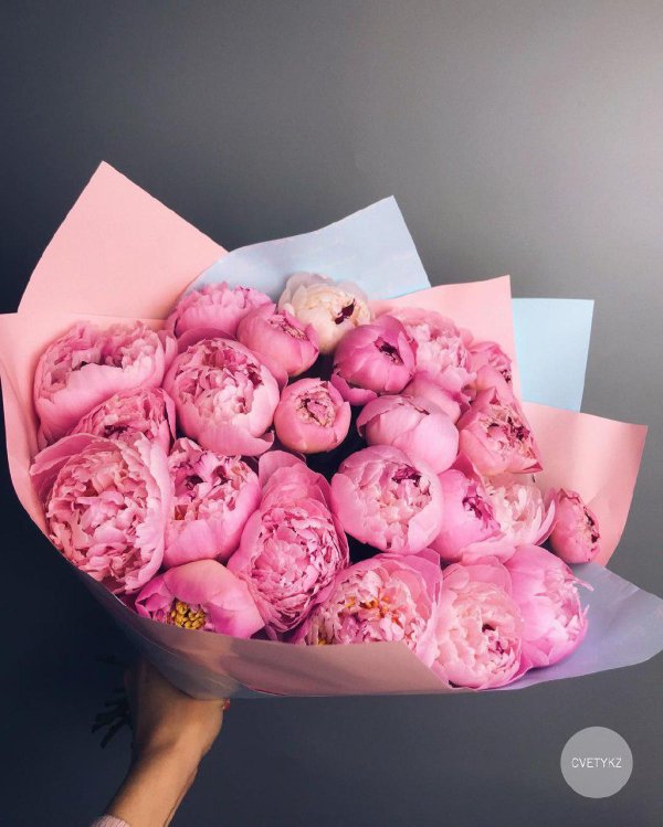 зефирные пионы