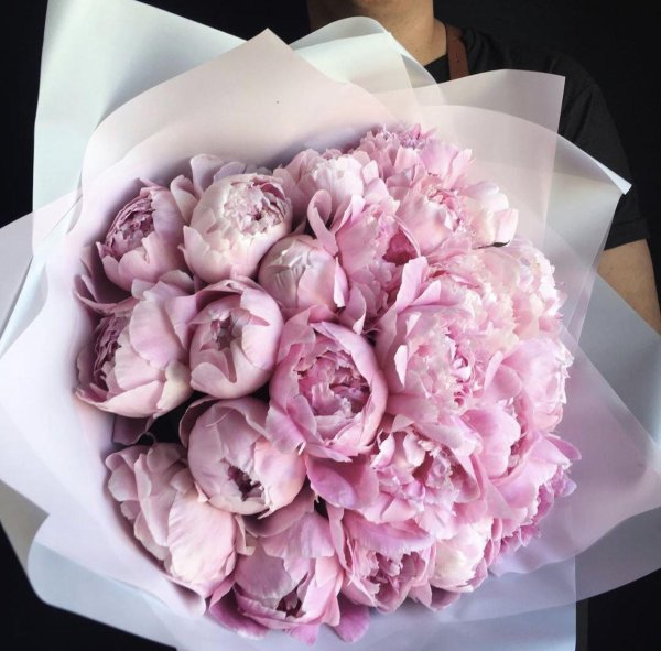 гисслер пионы