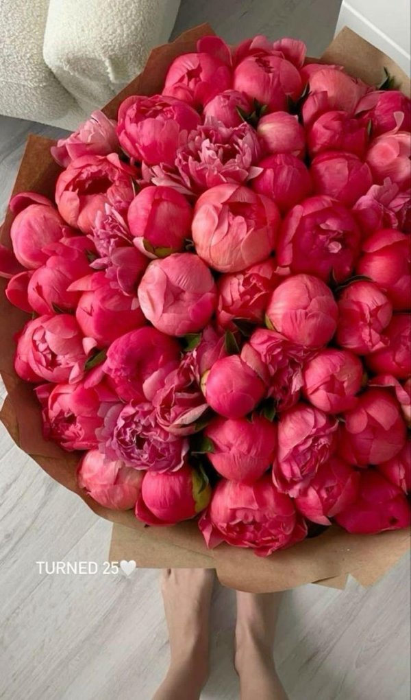 коралловые пионы