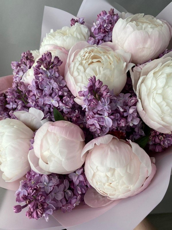 сиреневые пионы