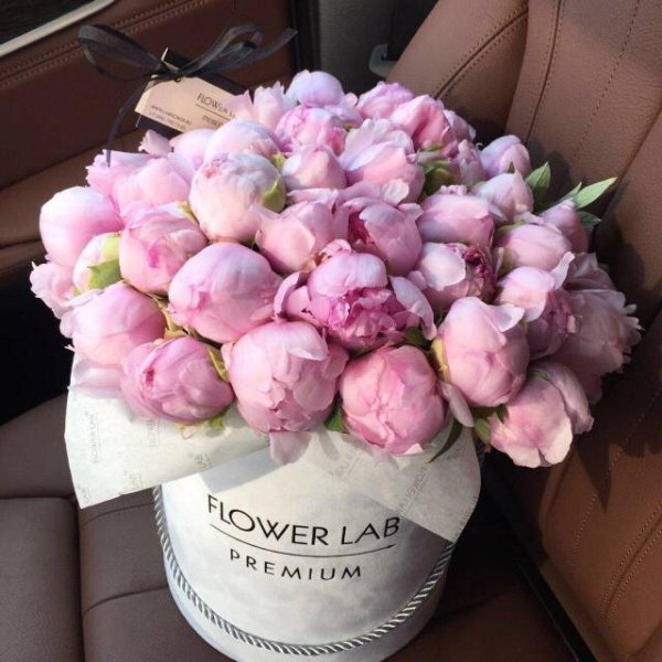 коробка с пионами